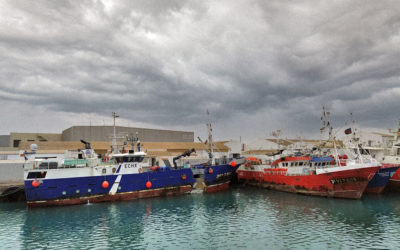 Plan Nacional para la reducción de las capturas accidentales en la actividad pesquera