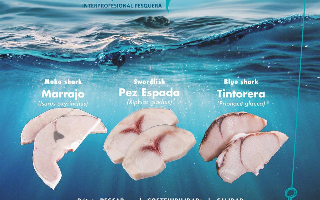 INTERFISH- España edita nuevo material corporativo que recoge sus tres especies representativas: tintorera, pez espada y marrajo