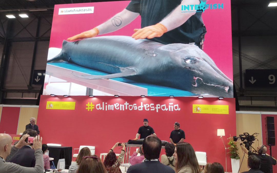 INTERFISH-ESPAÑA, PROTAGONISTA EN LA JORNADA DE HOY EN EL SALÓN GOURMETS CON EL RONQUEO DE PEZ ESPADA
