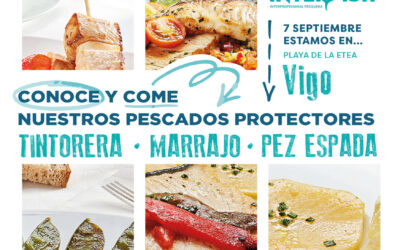 «RUTA PESCADOS PROTECTORES» ETAPA 12: VIGO