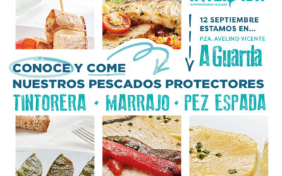 «RUTA PESCADOS PROTECTORES» ETAPA 13: A GUARDA