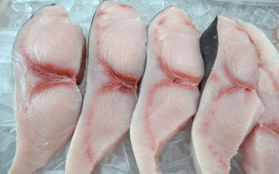Guiso de Pez Espada con Almejas