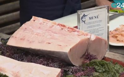 EL CAMINO FRANCÉS SE ACERCA AL MAR, GRACIAS A INTERFISH