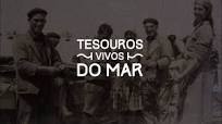 tesouros vivos do mar